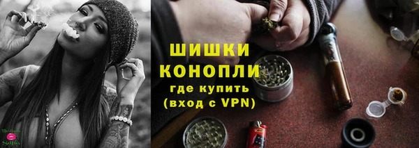МДПВ Богородицк