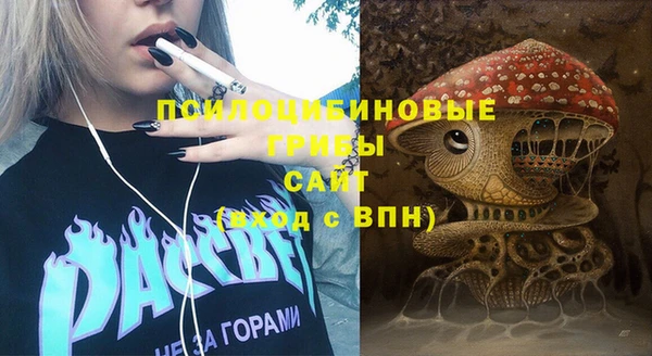 крисы Богородск