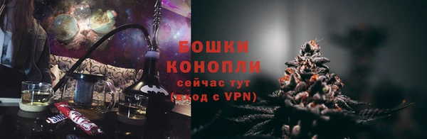 МДПВ Богородицк