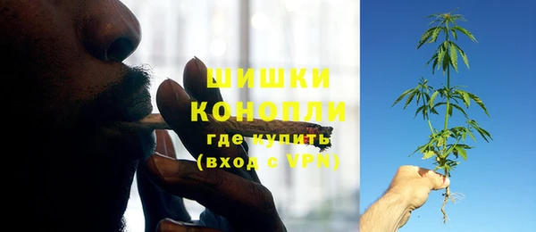 крисы Богородск