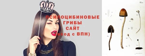 МДПВ Богородицк