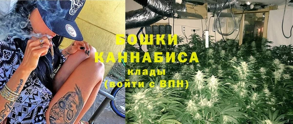 МДПВ Богородицк