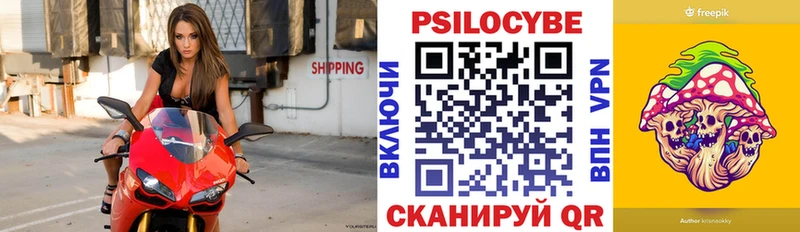Купить закладки  Партизанск  Псилоцибиновые грибы мухоморы 
